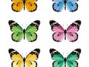 Set Of Colored Butterflies Stock Vector - Image: 50138103 à Forme Papillon À Découper