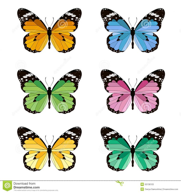 Set Of Colored Butterflies Stock Vector – Image: 50138103 à Forme Papillon À Découper