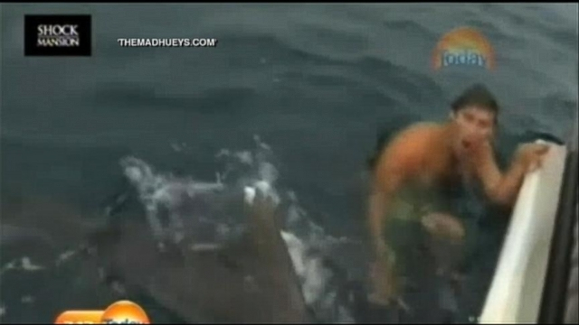 Shark Attack Video: Near Miss Caught On Camera Video - Abc tout Catch Attak