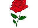 Silhouette De Couleur Simple Dessin D'Une Rose Rouge Sur pour Dessin Facile De Rose