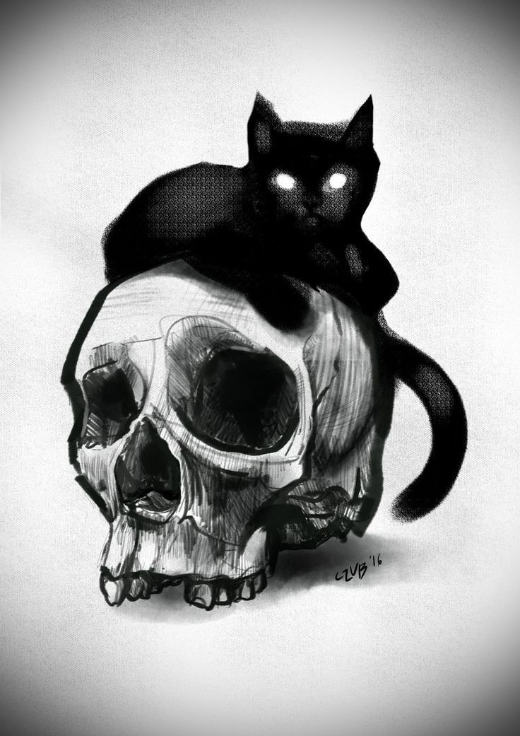 #Skull #Cat #Halloween #Art #Drawing #Tattoo - Tattoos intérieur Squelette Dessin 