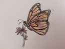 Speed Drawing - Papillon De Profil - pour Papillon Dessin