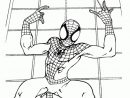 Spider-Man Le Bienfaiteur De New York tout Le Dessin Animé De Spiderman
