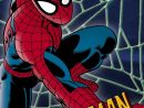 Spider-Man  Tvmaze destiné Dessin Spider Man