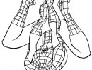 Spiderman Coloring Pages And Dozens More Free Printable pour Coloriage Spiderman