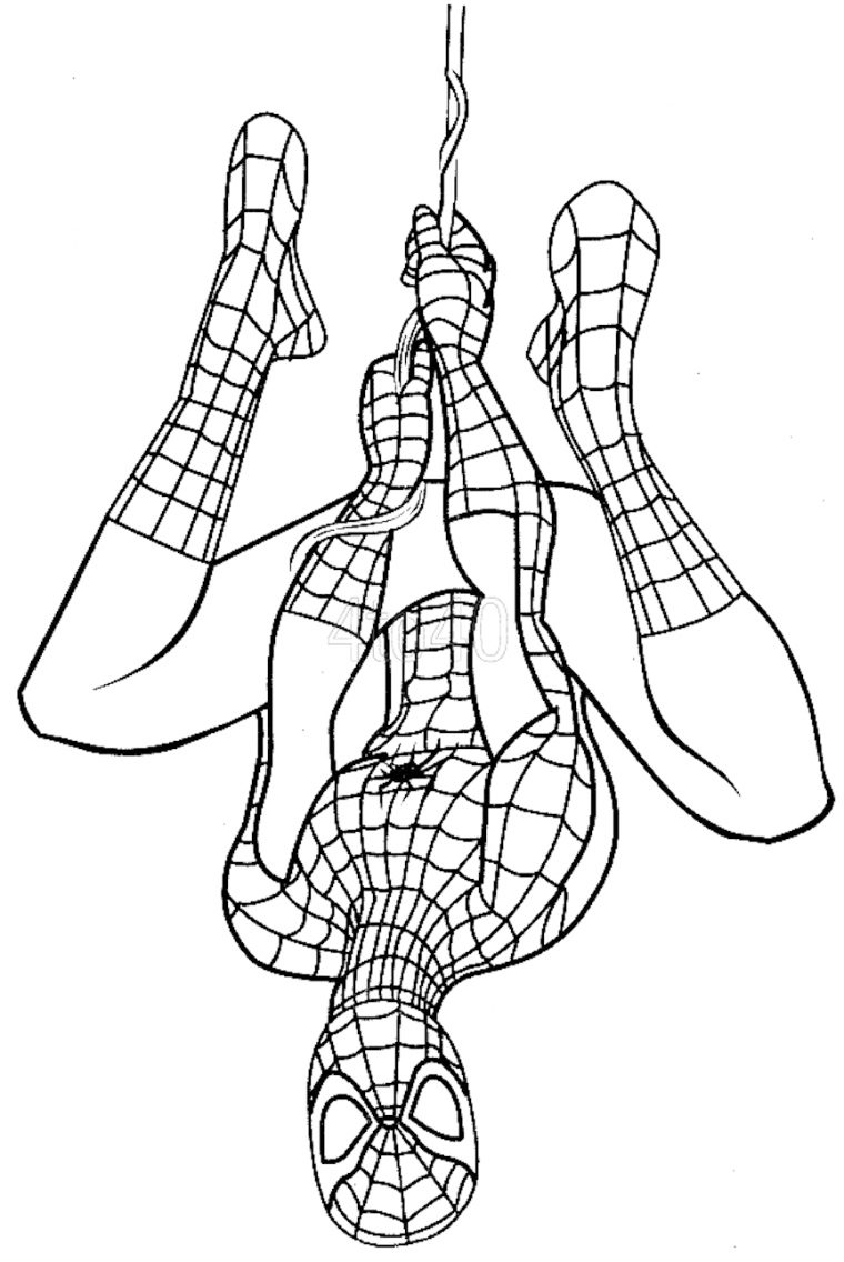 Spiderman Coloring Pages And Dozens More Free Printable pour Coloriage Spiderman