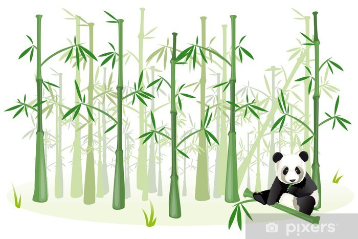 Sticker Panda Qui Mange Du Bambou, Vecteur • Pixers intérieur Dessin De Bambou 