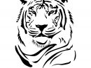 Stickers Tigre Pas Cher dedans Dessin De Tigre Blanc