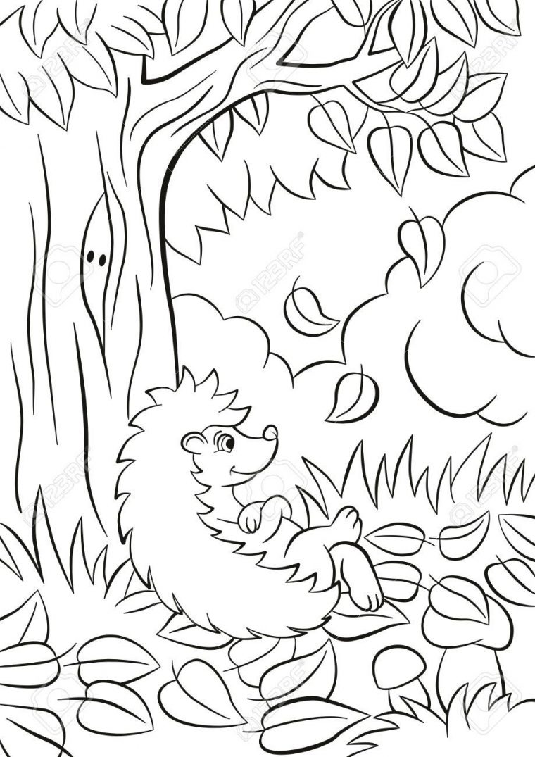 Stock Photo  Coloriage, Coloriage Arbre Et Coloriage Automne à Arbre Automne Coloriage