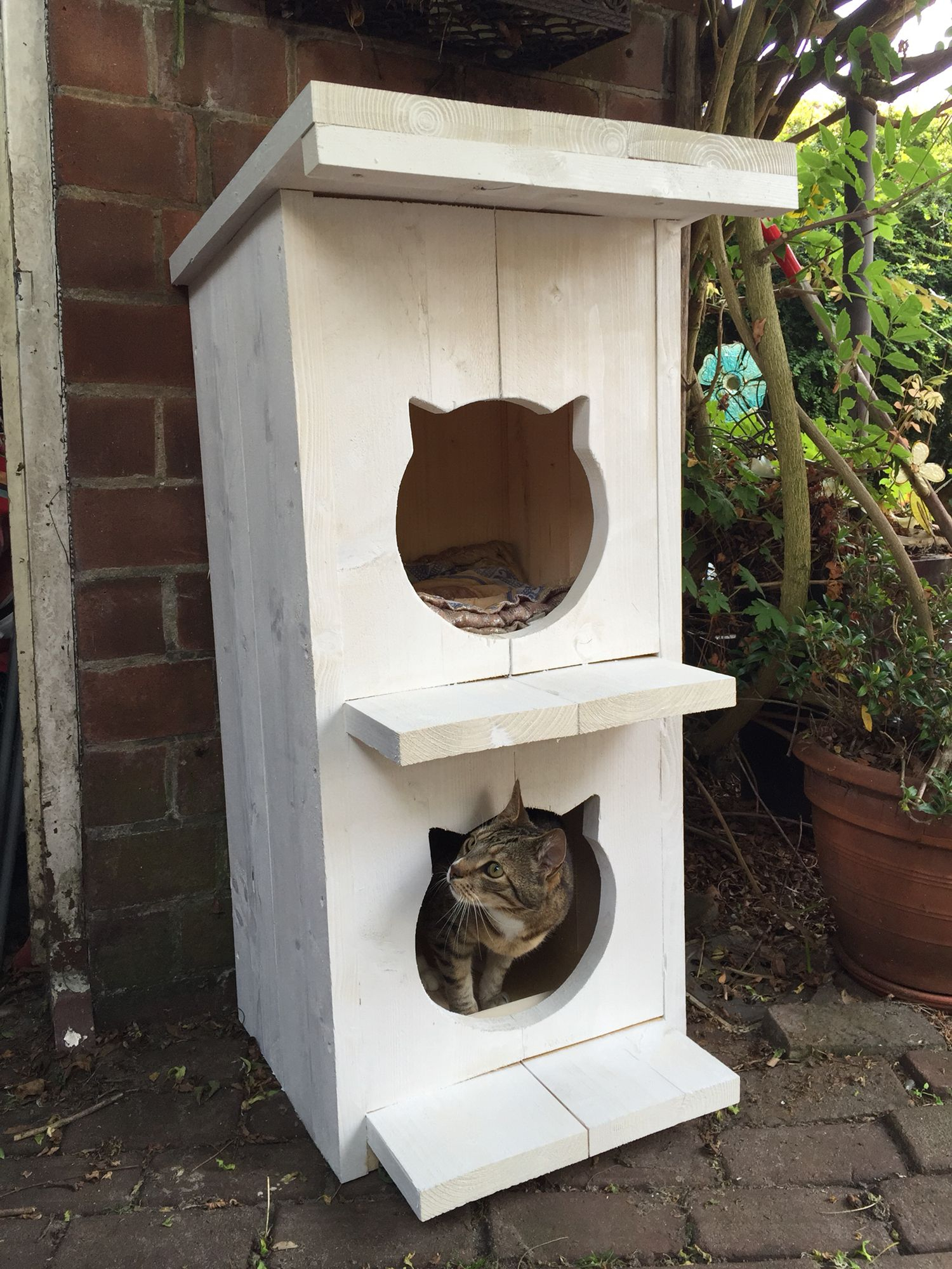 Superleuk Tuinhuis Voor De Katten Van Steigerhout destiné Cabane Hello Kitty 