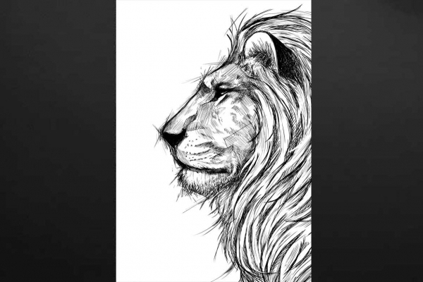 Tableau Lion Noir Et Blanc : Décoration Murale Moderne destiné Animal Polaire Noire Et Blanc Dessin 
