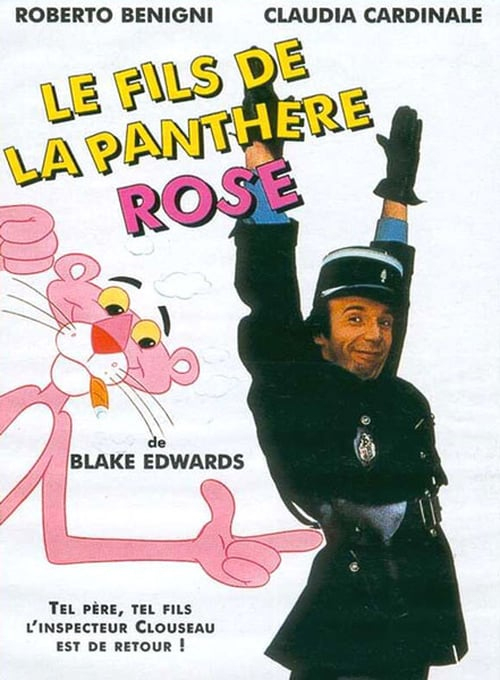 Télécharger Les Meilleurs Films Des Années 1990 - Zone concernant Video De Panthère Rose