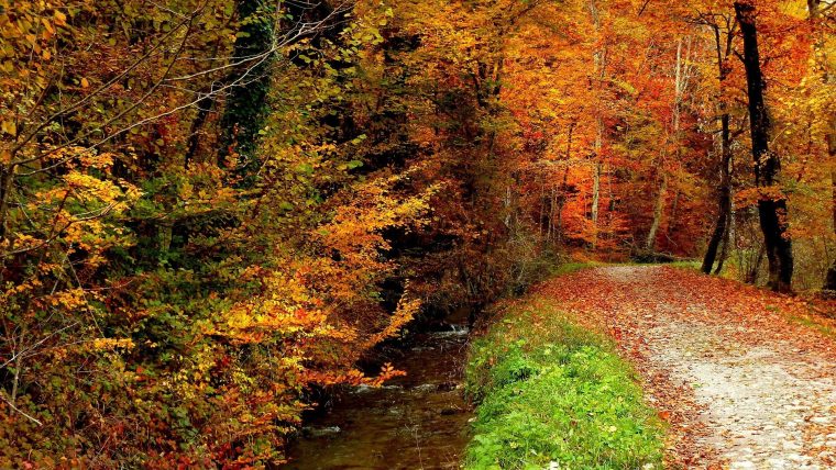 Télécharger Photos Automne Flamboyant Gratuitement concernant Nature D Automne