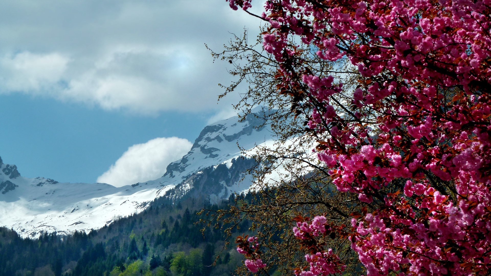 Télécharger Photos Printemps En Haute-Savoie Gratuitement pour La Nature En Printemps