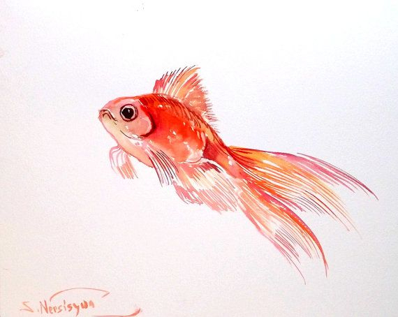 Tendances Pour Poisson Rouge Dessin Realiste - Random Spirit concernant Dessiner Un Poisson Rouge 