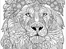 Tête De Lion Avec Motifs Complexes À Colorier - Coloriage à Tete À Colorier