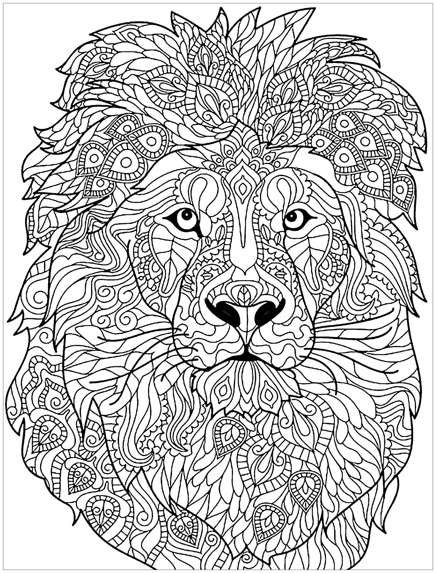 Tête De Lion Avec Motifs Complexes À Colorier - Coloriage à Tete À Colorier 