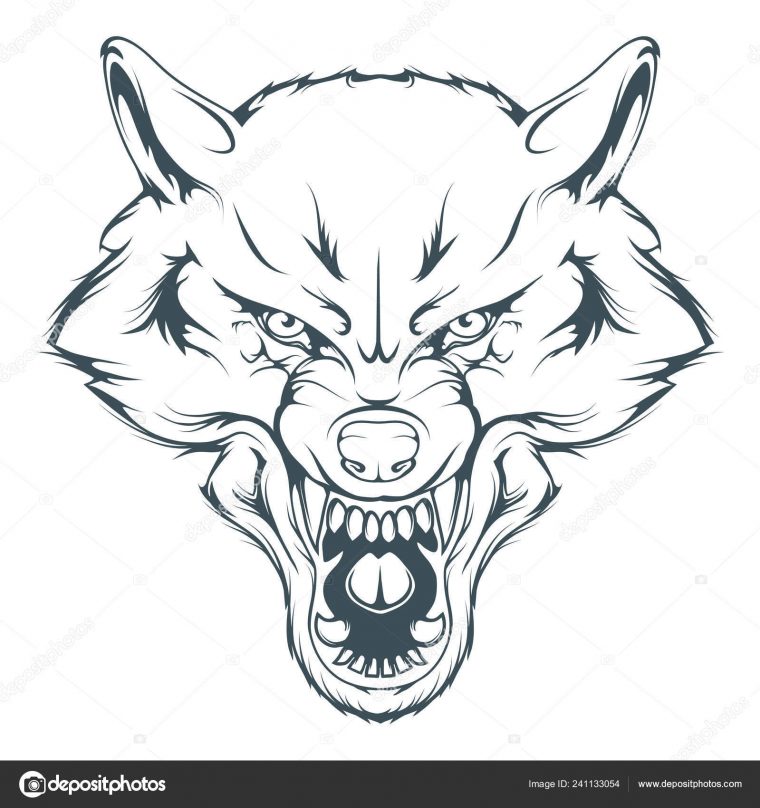 Tête Loup Vector Drawing Dessin Esquisse Loup Visage Tête tout Dessin De Loup