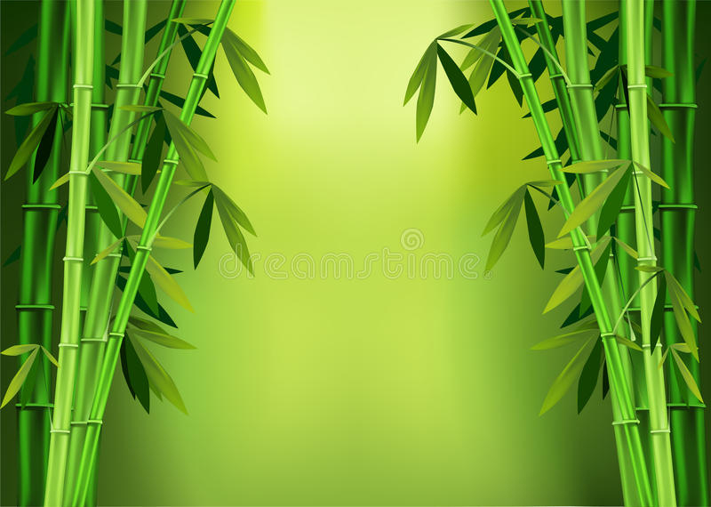 Tiges Et Icônes En Bambou De Vecteur De Feuilles Usines destiné Dessin De Bambou 