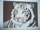 Tigre Blanc Peinture Par Cathou-Bazec  Artmajeur pour Dessin De Tigre Blanc