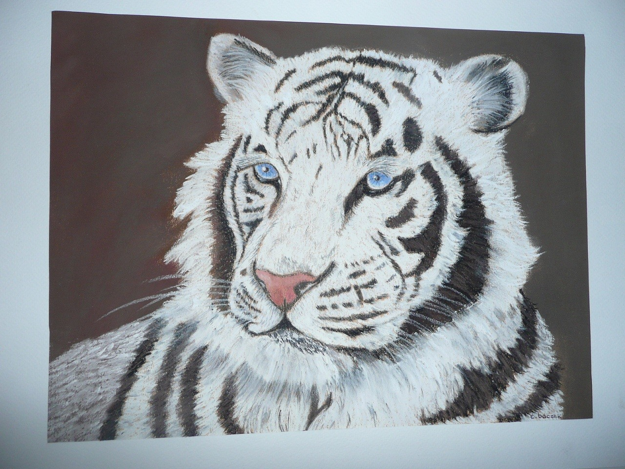 Tigre Blanc Peinture Par Cathou-Bazec  Artmajeur pour Dessin De Tigre Blanc 