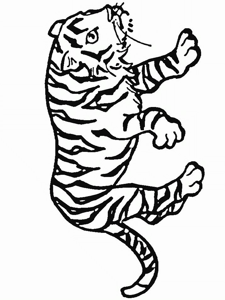 Tigre Coloriages À Imprimer Colorier - Coloriages1001.Fr pour Tigre Coloriage 