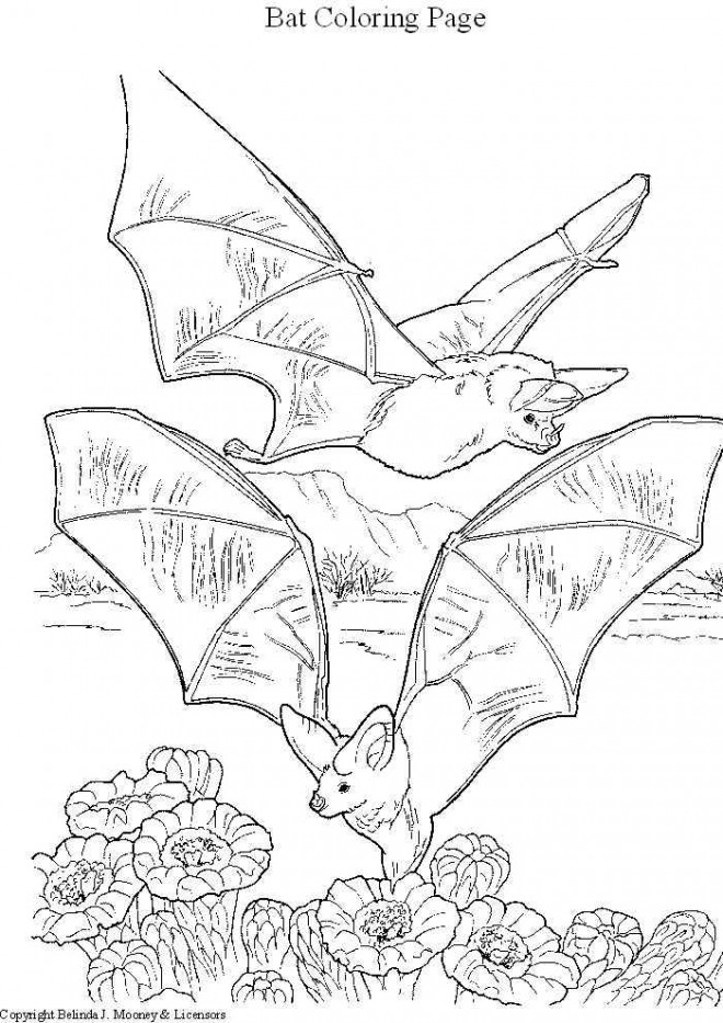 Top22+ Coloriage Chauve Souris À Imprimer Fond D'Écran concernant Chauve Souris Coloriage