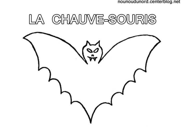 Top22+ Coloriage Chauve Souris À Imprimer Fond D'Écran encequiconcerne Chauve Souris A Imprimer