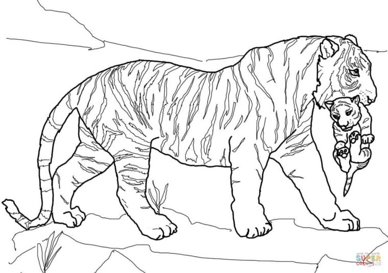 Top36+ Coloriage Tigre Images – Basisbeweging serapportantà Tigre Coloriage