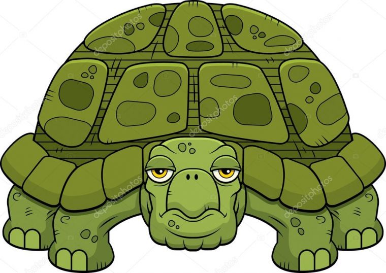 Tortue De Bande Dessinée — Image Vectorielle Cthoman avec Tortue Dessin Couleur