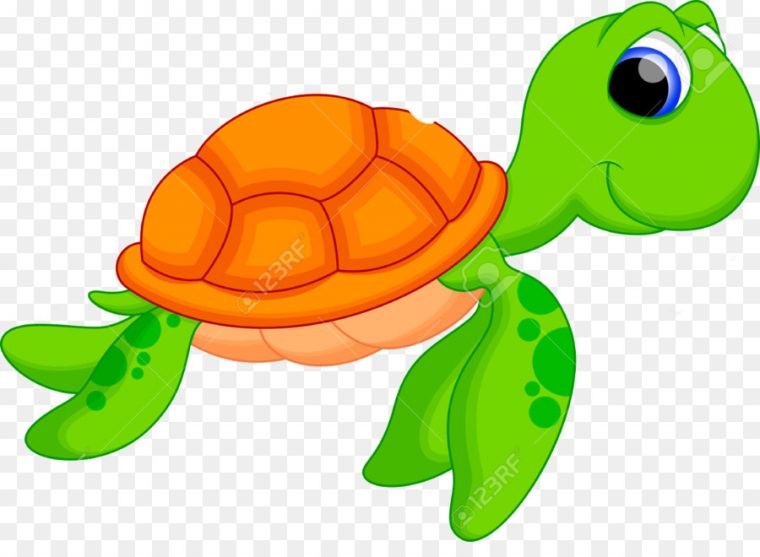 Tortue, Dessin, Dessin Animé Png – Tortue, Dessin, Dessin encequiconcerne Dessin D Une Tortue