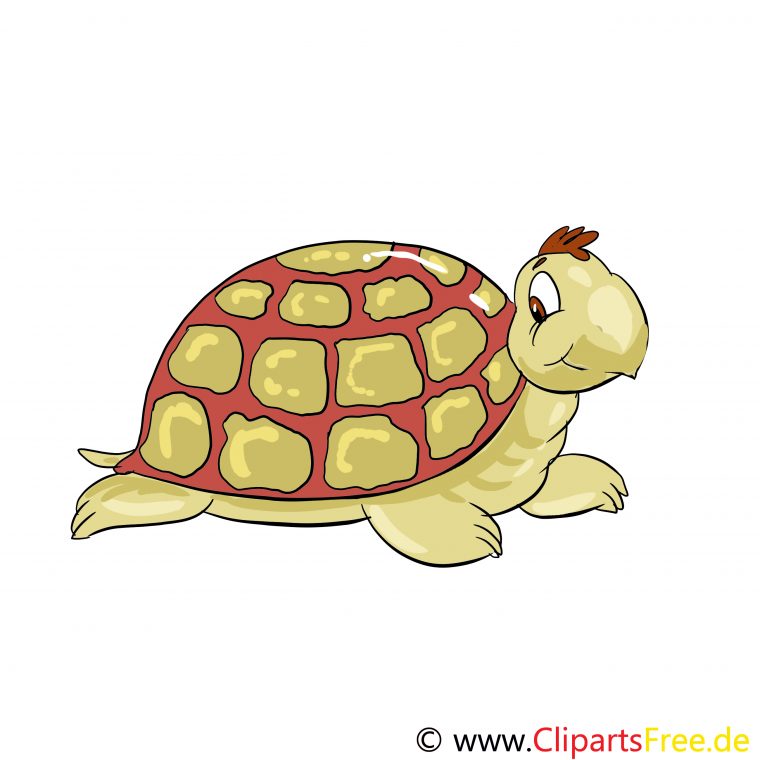 Tortue Illustration – Animal Images – Zoo Dessin, Picture avec Tortue Dessin Couleur