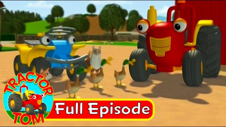 Tractor Tom – 52 Wild Ducks (Full Episode – English) – tout Video Tom Le Tracteur