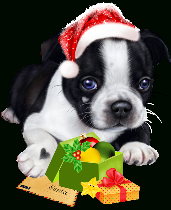 Tube Chien De Noel - Christmas Puppy - Clic Sur L Image encequiconcerne Image De Noel Animaux 