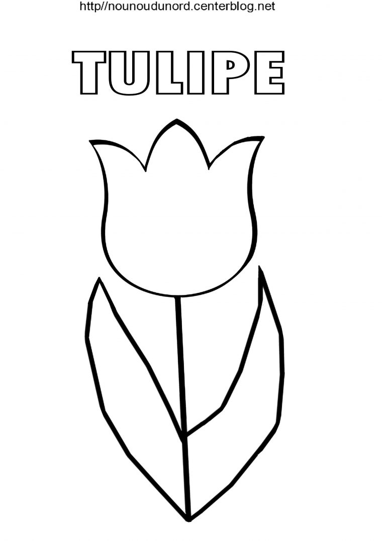 Tulipe Coloriage Et Pour Gommettes tout Modele De Coloriage