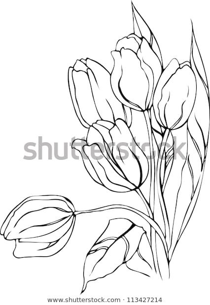 Tulipe Dessin - Patriotbibleuniversity concernant Dessiner Une Tulipe 