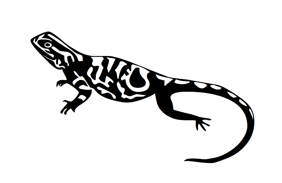 Uages Lézard - Modele &amp;amp; Dessins - Votre Prénom Écrit encequiconcerne Dessin De Lezard 