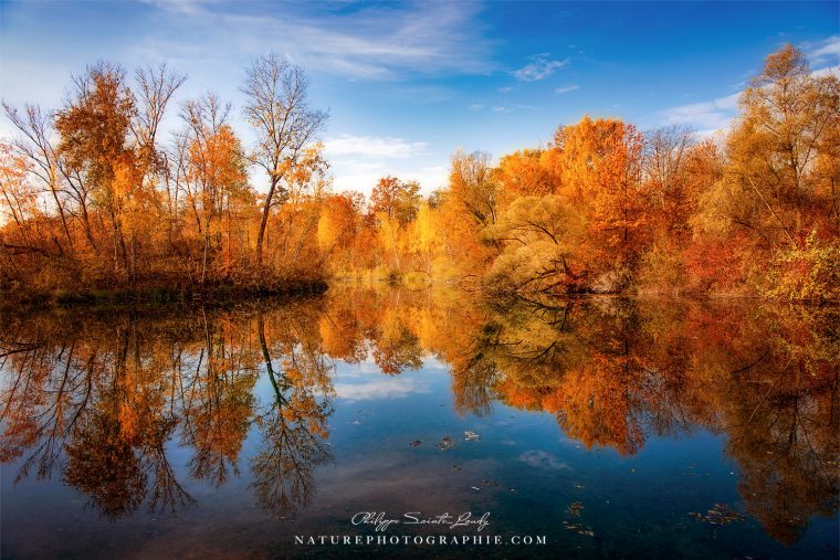 Une Belle Journée D'Automne Pour Faire De La Photo pour Nature D Automne