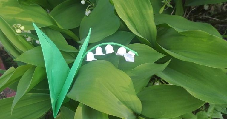 Une Fleur De Muguet En Papier Origami tout Fleurs De Muguet A Imprimer