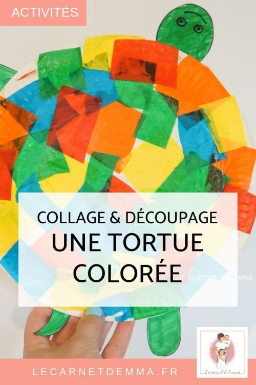 Une Petite Tortue Tout En Couleurs - Le Carnet D'Emma concernant Dã©Coupage Collage Animaux Maternelle