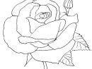 Une Rose À Colorier Pour La Fête Des Mères  Manualidades intérieur Rose À Colorier