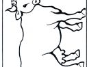 Vache 2 - Coloriages Animaux De La Ferme destiné Coloriage Ferme À Imprimer