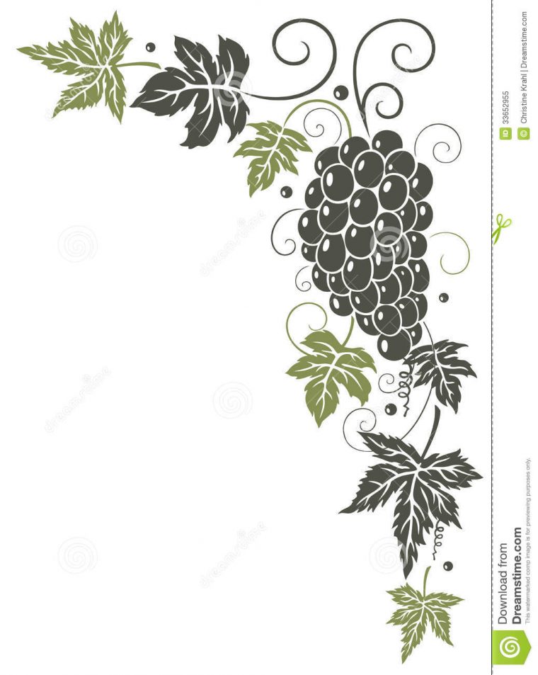 Vigne, Feuilles, Raisins Illustration De Vecteur encequiconcerne Dessin Grappe De Raisin Et Feuille De Vigne