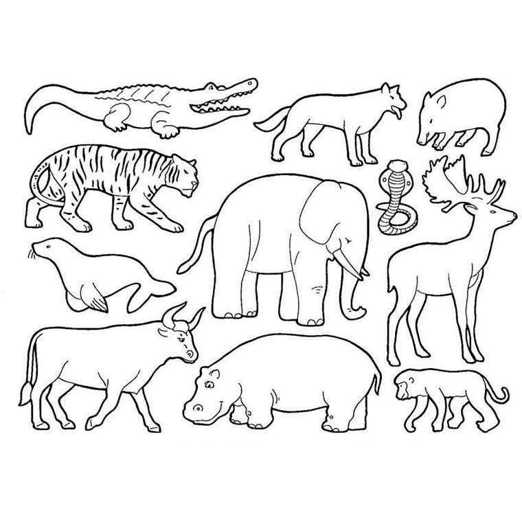 Wild  Jungle Animals #21120 (Animals) - Printable tout Dessin Animaux Savane 