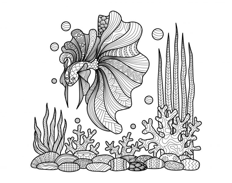 Zentangle Poisson Sur Coraux – Mondes Aquatiques encequiconcerne Coloriage Poisson