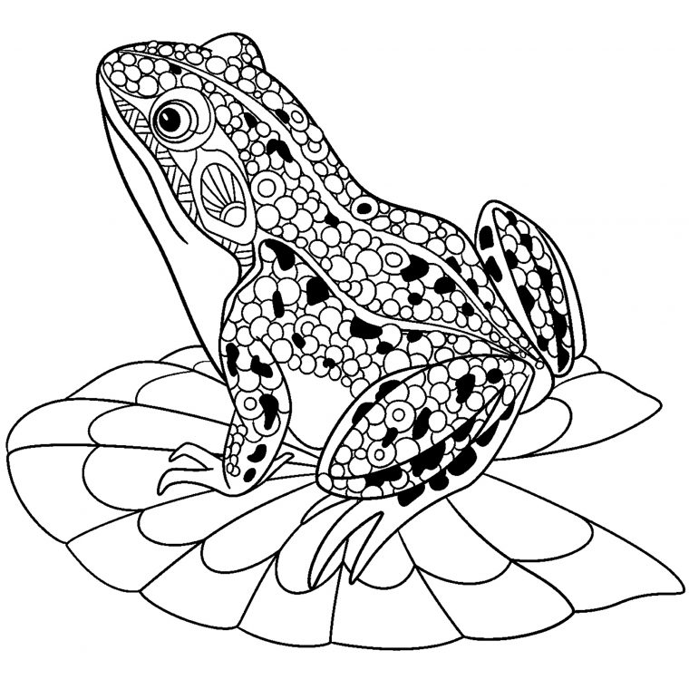 Zentangle Stylized Frog – Coloriage De Grenouilles concernant Grenouille Dessin