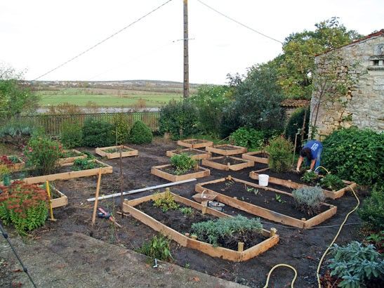 jardin potager en carré