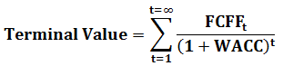 terminal value berechnung