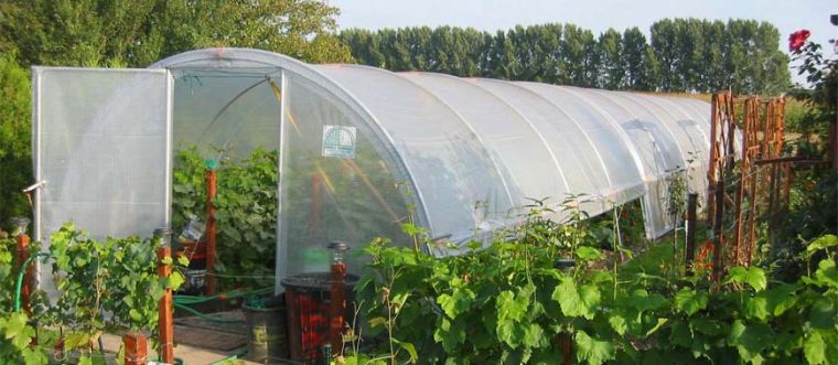 fabriquer une serre tunnel de jardin