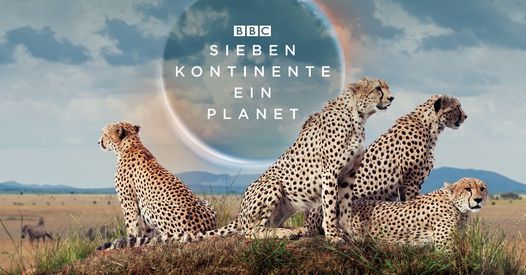 sieben kontinente ein planet live in concert